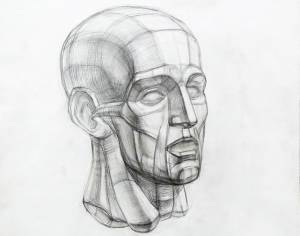 Рисунок головы Экорше