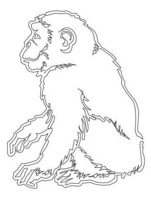 Трафареты Обезьяны