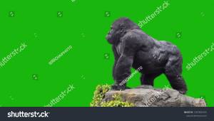 Стоковая фотография 1287855355