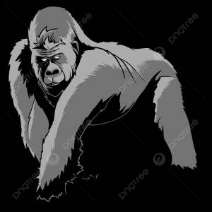 горилла мультфильм вектор PNG , горилла, Кинг конг, горилла вектор PNG картинки и пнг рисунок для й загрузки
