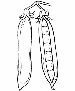 Раскраски Раскраска Горох Еда