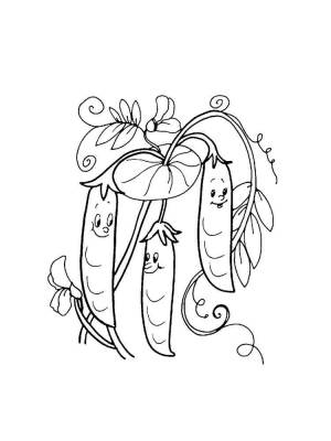 Раскраска Горох