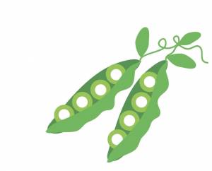 Шаблон горох