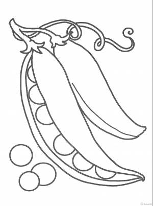 Стручок гороха раскраска для детей