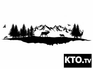 Интересуют трафареты для покраски стен, либо на kto