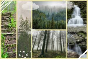 Шаблон горы и леса природа коллаж