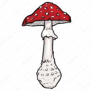 Мухомор красный рисунок