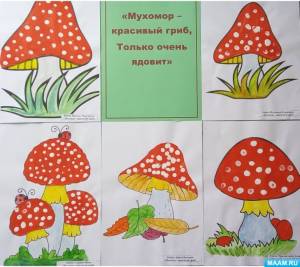Конспект занятия «Мухомор