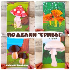 Грибы Объёмные аппликации грибы