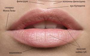 Коррекция объема и формы губ » Салон лазерной косметологии ЛИЛУ