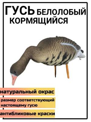 Чучело для охоты гусь белолобый кормящийся