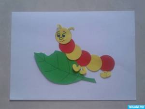 Мастер-класс по изготовлению аппликации «Гусеница»