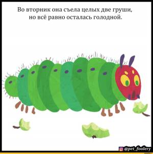 Гусеница с четырьмя глазами