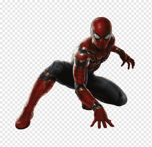 Человек-паук, человек-паук, Железный человек, Халк, яд, Дэдпул, паук, герои, логотип, насекомые png