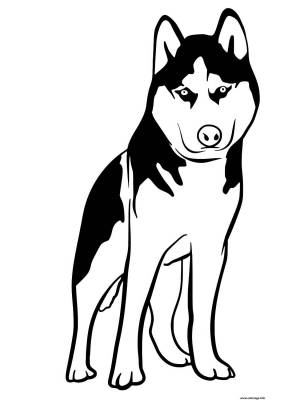 Трафареты Хаски