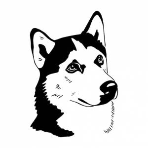 Хаски, изолированные на белом фоне трафарет силуэт собаки