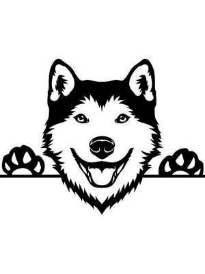 Трафареты Хаски