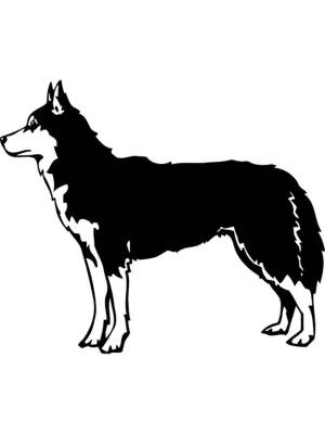 Трафареты Хаски