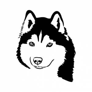 Хаски, изолированные на белом фоне трафарет силуэт собаки