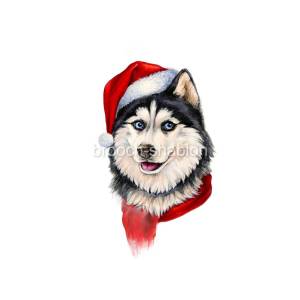 ШАБЛОН ХАСКИ В КОЛПАЧКЕ