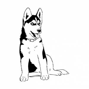 Хаски, изолированные на белом фоне трафарет силуэт собаки