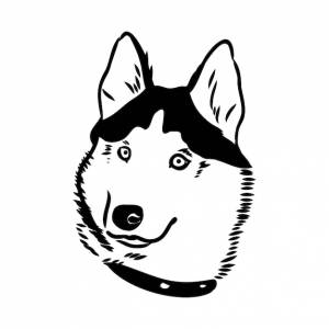 Хаски, изолированные на белом фоне трафарет силуэт собаки