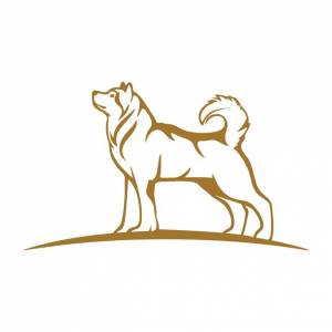 Векторный шаблон дизайна сибирской хаски