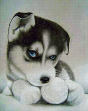 Предпросмотр схемы вышивки «Милый щенок хаски»