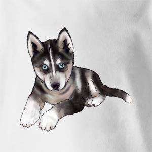 Хаски щенок с разными глазами