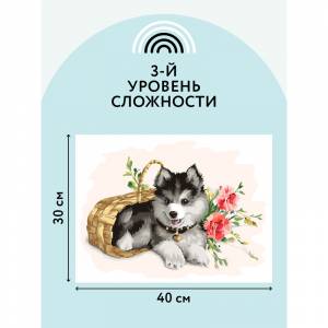 Картина по номерам на холсте ТРИ СОВЫ Щенок хаски, 30*40, с акриловыми красками и кистями
