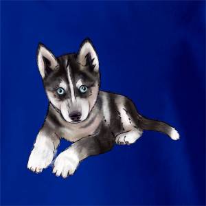 Щенок хаски с голубыми глазами