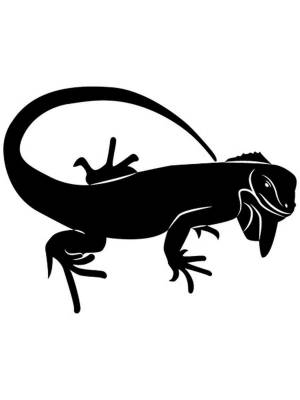 Трафареты Игуаны