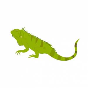 Иллюстрация репти игуаны простая рисованная иллюстрация стиля