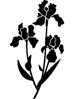 Трафареты Ирисы