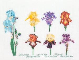 Набор для вышивания Thea Gouverneur 3051А Ирисы 47 х 36 см