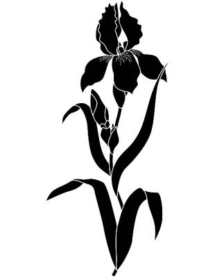 Трафареты Ирисы