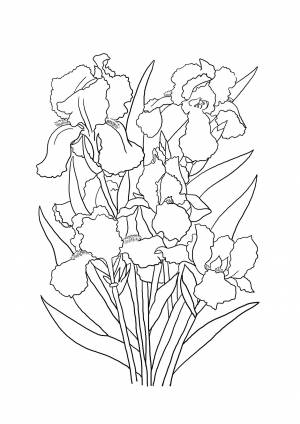 Трафареты ирисы в вазе
