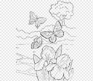 Рисунок Пейзажная Живопись Раскраска, Ирисы, угол, чернила, белый png