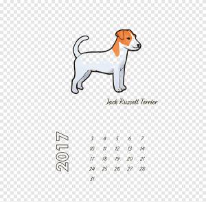 Джек-рассел-терьер Парсон-рассел-терьер Скоттиш-терьер Эрдельтерьер, Puppy Pattern, белый, млекопитающее png