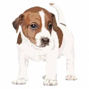 Вектор щенка джек рассел терьер изолирован на белом