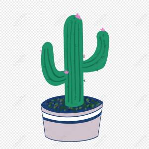 Милый кактус изображение_Фото номер 401300915_PSD Формат изображения_ru