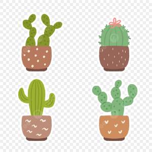 Симпатичные рисованные кактусы в горшке PNG , милые растения, кактус, милый кактус PNG картинки и пнг PSD рисунок для й загрузки