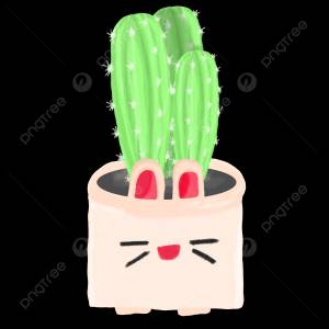 милый кактус PNG , кактусы, растение, кактус PNG картинки и пнг PSD рисунок для й загрузки