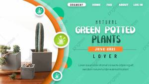 Комнатные растения украшение баннер зеленый оранжевый геометрический кактус рисунок Шаблон для скачивания на Pngtree