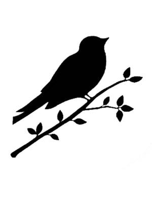 Трафареты Канарейки