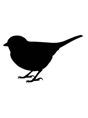 Трафареты Канарейки