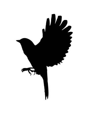 Трафареты Канарейки