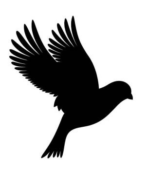 Трафареты Канарейки