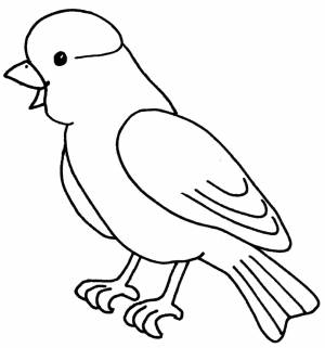 Канарейка раскраска