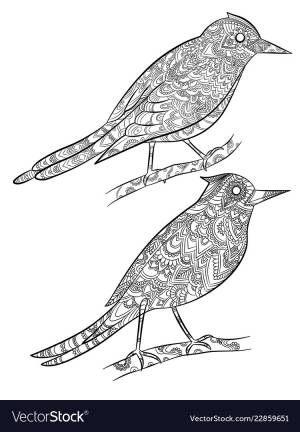 Канарейка раскраска для детей